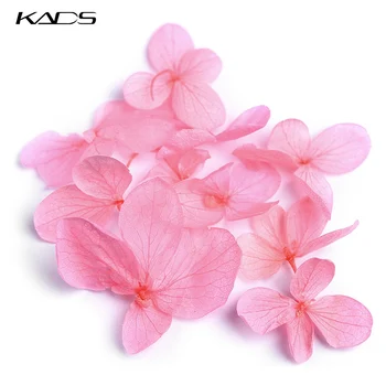 KADS 30stk/bag 3D-Tørrede Blomster Naturlige Blomster Stickers Rigtige Tørrede Blomster Nail Art Dekoration 6 Farver Tips DIY Værktøjer Manicure